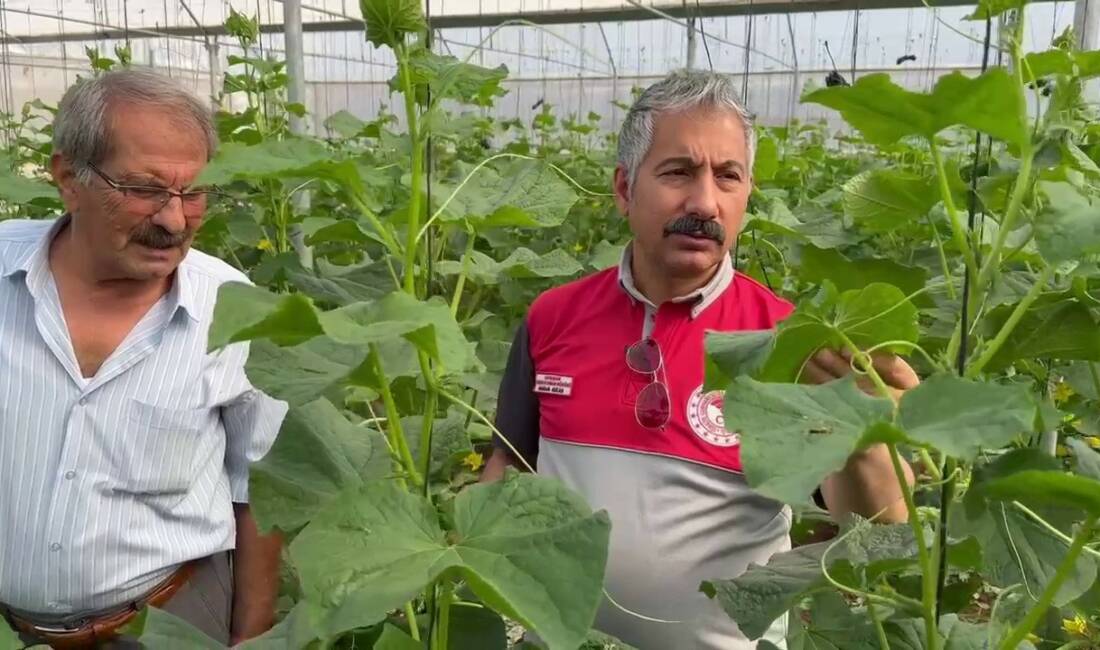 GAP Bölge Kalkınma İdaresi Başkanlığı’nın desteğiyle yürütülen "Adıyaman’da Sera-GES ile