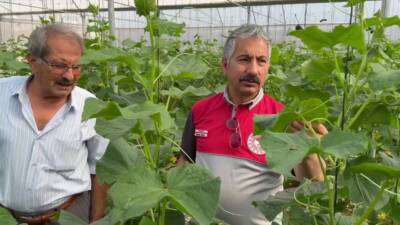 GAP Bölge Kalkınma İdaresi Başkanlığı’nın desteğiyle yürütülen "Adıyaman’da Sera-GES ile