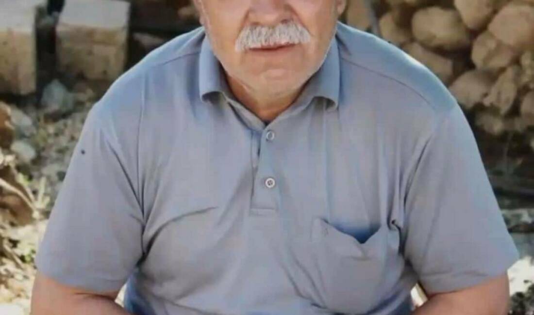 Mardin'in Mazıdağı ilçesine bağlı Kebapçı Mahallesi'nde, ceviz toplamak için ağaca