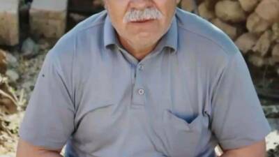 Mardin'in Mazıdağı ilçesine bağlı Kebapçı Mahallesi'nde, ceviz toplamak için ağaca