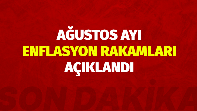Türkiye İstatistik Kurumu (TÜİK) 2025 yılı Ağustos ayı enflasyon verilerini