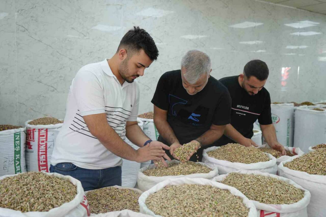 Antep fıstığında bu yıl rekolte düşüşü yaşandı ve fiyatlar ciddi