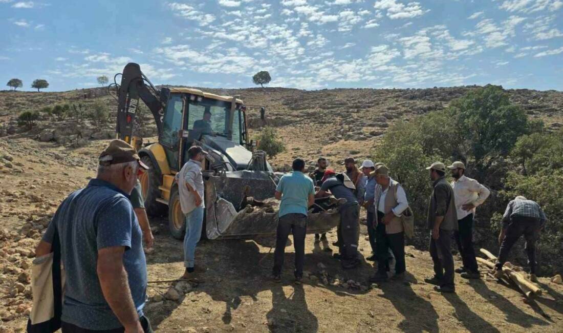 Mardin'in Nusaybin ilçesinde dağlık bir alanda ayağı kırılan inek, köylüler