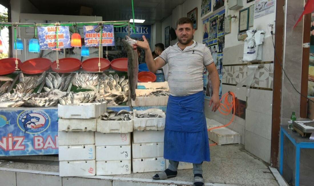 Kilis'te balık sezonunun açılmasıyla çeşitli balıklar tezgahlardaki yerini aldı. Kilis