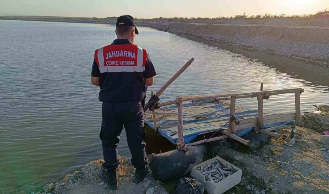 Batman Çayı'nda yasaklı balık avlama faaliyetlerine karşı yapılan operasyonda 250