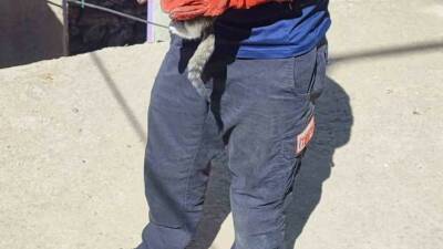 Batman’ın Huzur Mahallesi’nde sıkışan bir kedi, itfaiye ekipleri tarafından kurtarıldı.