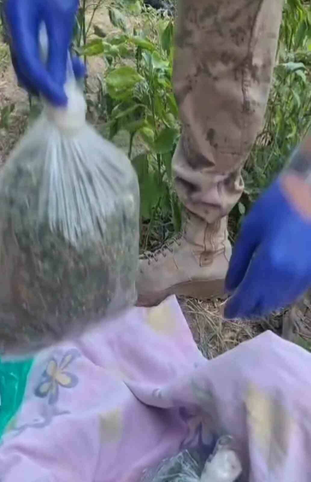 Batman’ın Sason ilçesindeki uyuşturucu operasyonunda 2 kilo 706 gram esrar