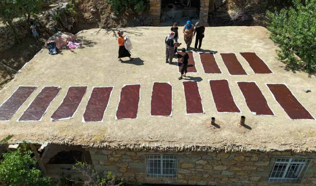 Batman'ın Sason ilçesinde bulunan Günlüce köyünde hasat zamanı siyah üzümler