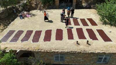 Batman'ın Sason ilçesinde bulunan Günlüce köyünde hasat zamanı siyah üzümler