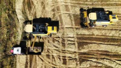 Çermik ilçesinde tescilli Karacadağ pirincinin hasadı başladı. Yaklaşık 6 milyon