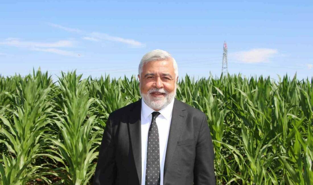 Dicle Elektrik Genel Müdürü Yaşar Arvas, Güneydoğu Anadolu Bölgesinde yaşanan