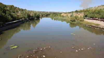 Dicle Nehri’nin Diyarbakır bölümünden geçen bazı bölgelerinde balık ölümleri görüldü.