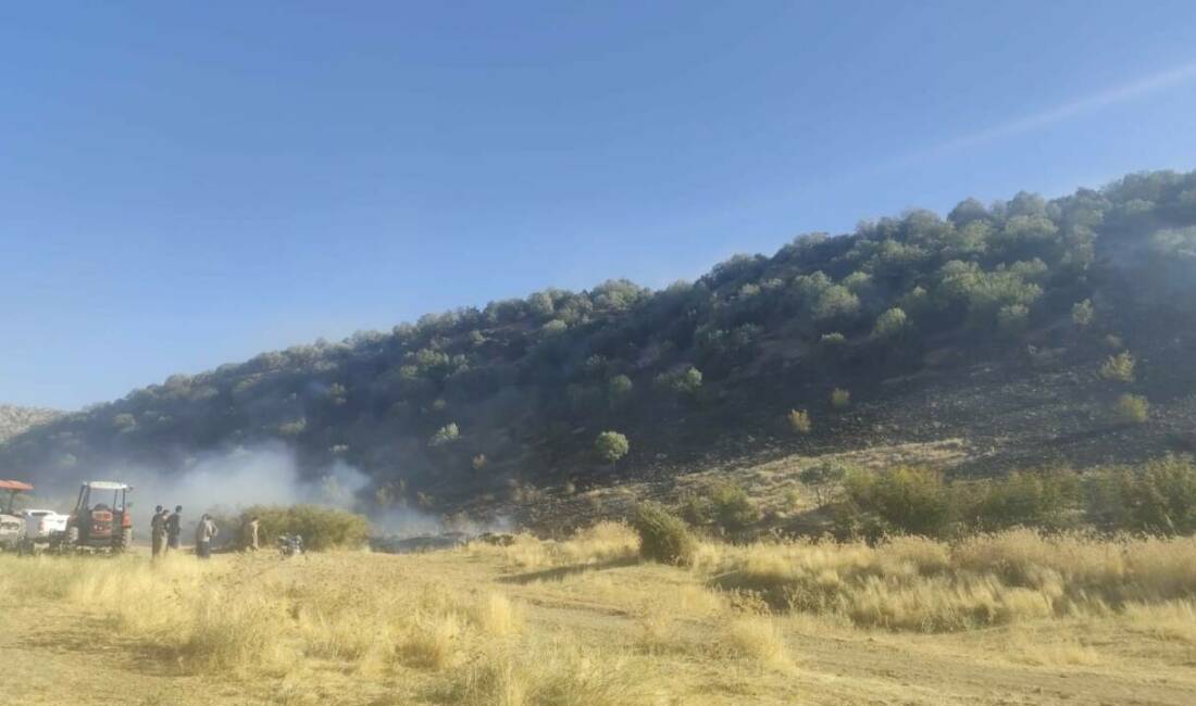 Diyarbakır’ın Hani ilçesinde çıkan anız yangını, ormanlık alana sıçradı ve