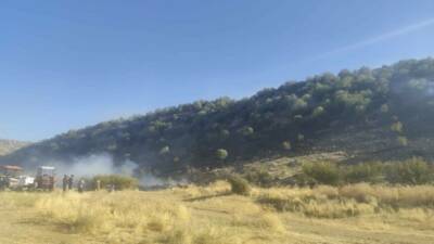 Diyarbakır’ın Hani ilçesinde çıkan anız yangını, ormanlık alana sıçradı ve