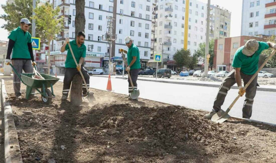 Diyarbakır Büyükşehir Belediyesi, Bağlar ilçesindeki deprem ve yıkımlardan etkilenen cadde