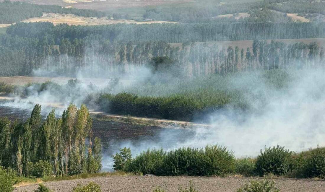 Diyarbakır'ın Hevsel Bahçeleri'nde bulunan mısır tarlasında çıkan anız yangını, itfaiye