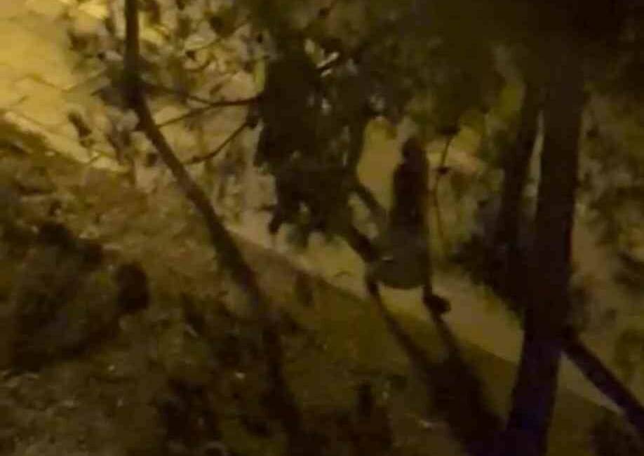 Diyarbakır'ın Bağlar ilçesinde dün gece saatlerinde husumetli iki grup arasında