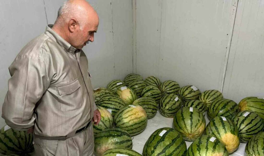 Diyarbakır'da düzenlenecek 15. Karpuz Tanıtım Etkinliği için üreticilerin katılacağı yarışmada,