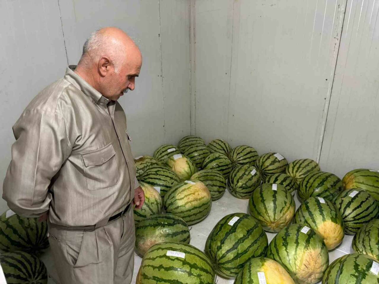 Diyarbakır'da düzenlenecek 15. Karpuz Tanıtım Etkinliği için üreticilerin katılacağı yarışmada,