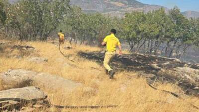 Dicle ilçesine bağlı Taşağıl Mahallesi'nde meydana gelen orman ve örtü