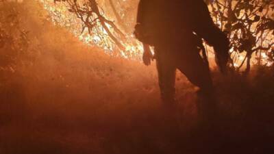 Diyarbakır’ın Silvan ilçesinde çıkan orman yangını, havadan ve karadan yapılan