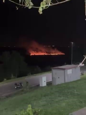 Diyarbakır'daki tarihi Hevsel Bahçeleri'nde dün akşam saatlerinde çıkan yangın, itfaiye
