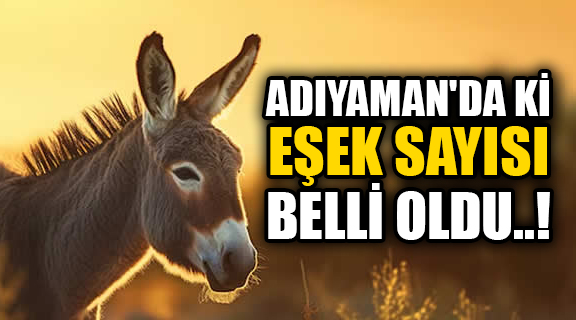 Türkiye İstatistik Kurumu’nun (TÜİK) yayımladığı son rapor, ülkedeki eşek sayısının