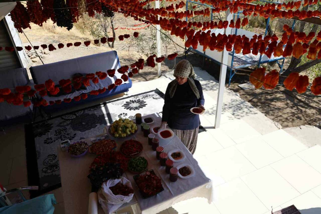 Ankara'dan Diyarbakır'ın Çermik ilçesine taşınan girişimci Zeynep Güven, bahçesinde yetiştirdiği