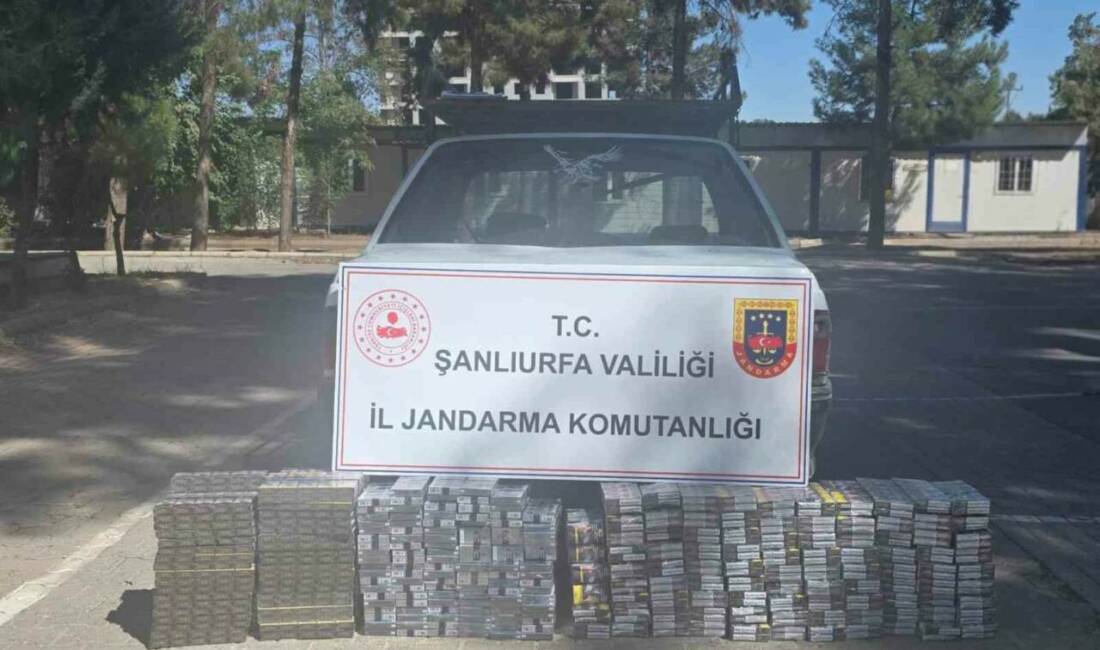 Şanlıurfa’nın Eyyübiye ilçesinde jandarma ekipleri tarafından gerçekleştirilen operasyonda 2 bin