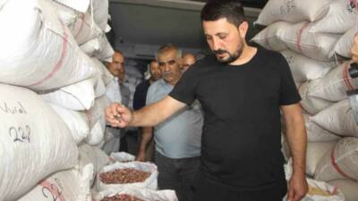 Şanlıurfa'da bu yıl fıstık rekoltesinin düşük olması, fiyatların iki katına