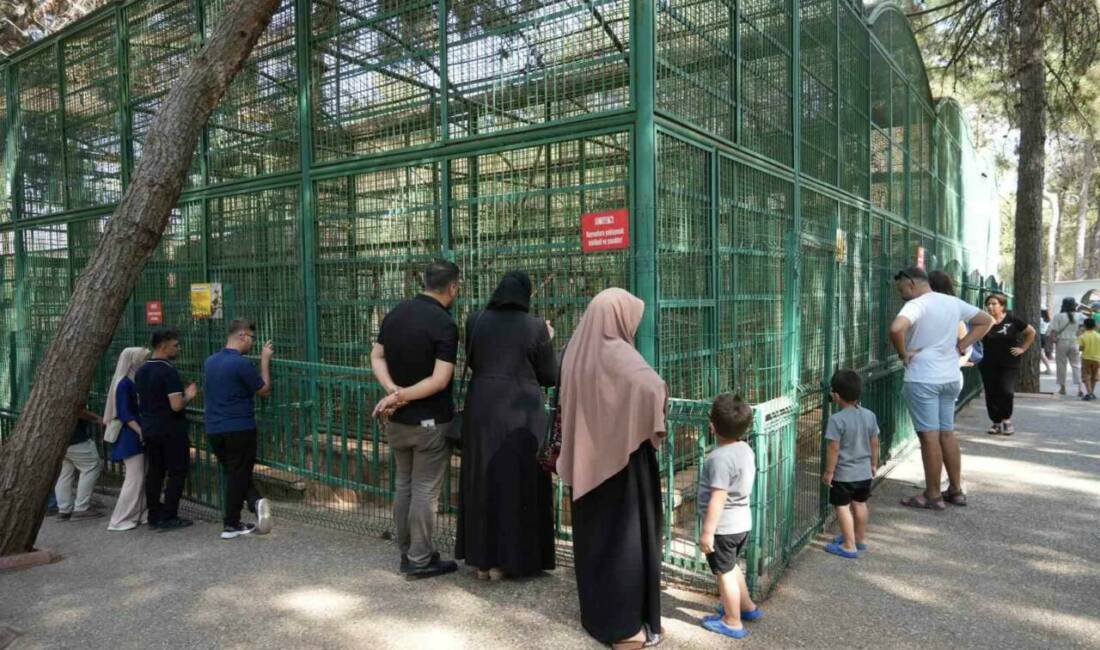Gaziantep Doğal Yaşam Parkı, bu yılın ilk 8 ayında 5