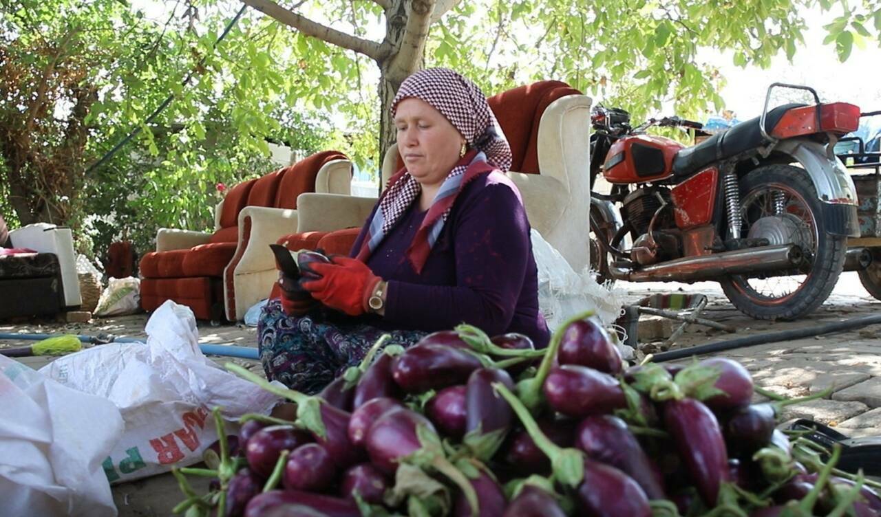 Gaziantep'te geleneksel kış hazırlıklarının vazgeçilmezi olan kurutmalık sebze hazırlığı devam