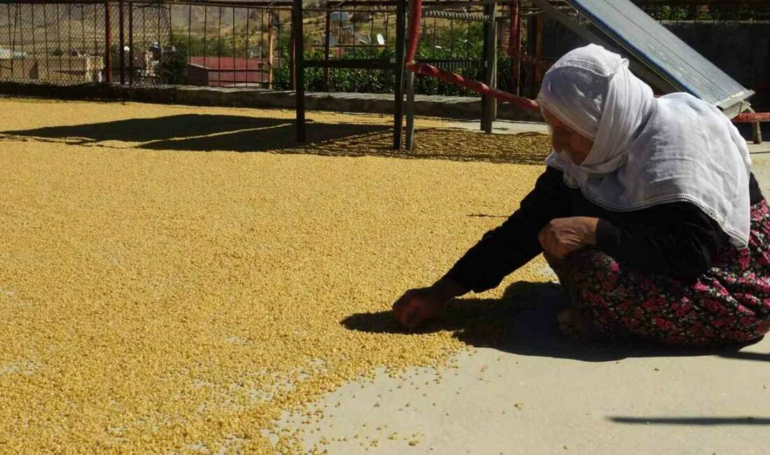 Batman’ın Gercüş ilçesinde uzun yıllardır devam eden bulgur kaynatma geleneği,