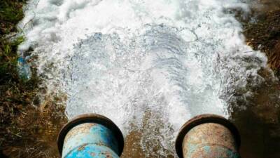 Güneydoğu Anadolu Bölgesi'nde kaçak mısır ekimi, enerji sorununu artırıyor. Mardin