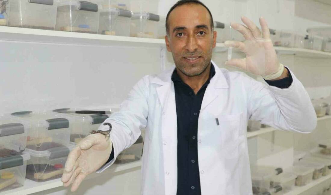 Diyarbakırlı inşaat ustası Abdullah Fidanten, belgesellerde akrep zehrinin sağlık alanında