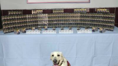 Şanlıurfa’nın Viranşehir ilçesinde jandarma ekipleri tarafından yapılan çalışmada bin 320