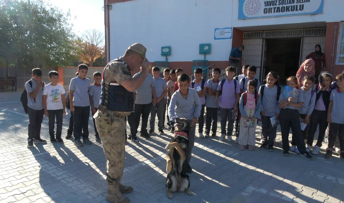 Kilis İl Jandarma Komutanlığı, öğrencilere ve servis şoförlerine trafik eğitimleri