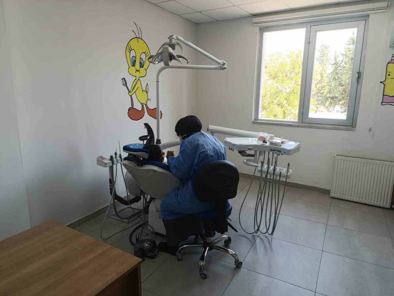 Kahta Ağız ve Diş Sağlığı Merkezi, Çocuk Ağız ve Diş