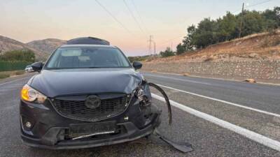 Adıyaman'ın Gölbaşı ilçesinde bir otomobilin küçükbaş hayvan sürüsüne çarpması sonucu