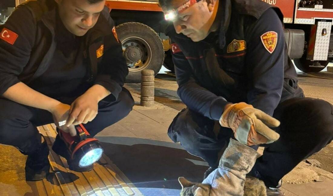 Kilis'te Vaiz Mahallesi'nde 3 gün boyunca ağaçta mahsur kalan bir