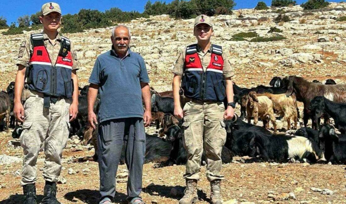 Kilis’in Tamburalı Köyü'nde kaybolan 100 küçükbaş hayvan, jandarma ekipleri tarafından
