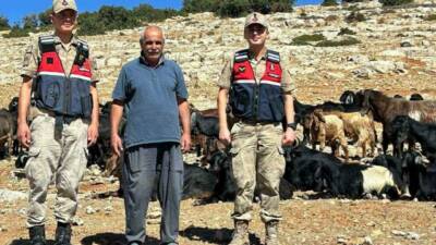 Kilis’in Tamburalı Köyü'nde kaybolan 100 küçükbaş hayvan, jandarma ekipleri tarafından