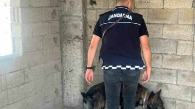 Kilis’te jandarma ekipleri, yeni eğitim-öğretim yılının ilk gününde okul önlerinde