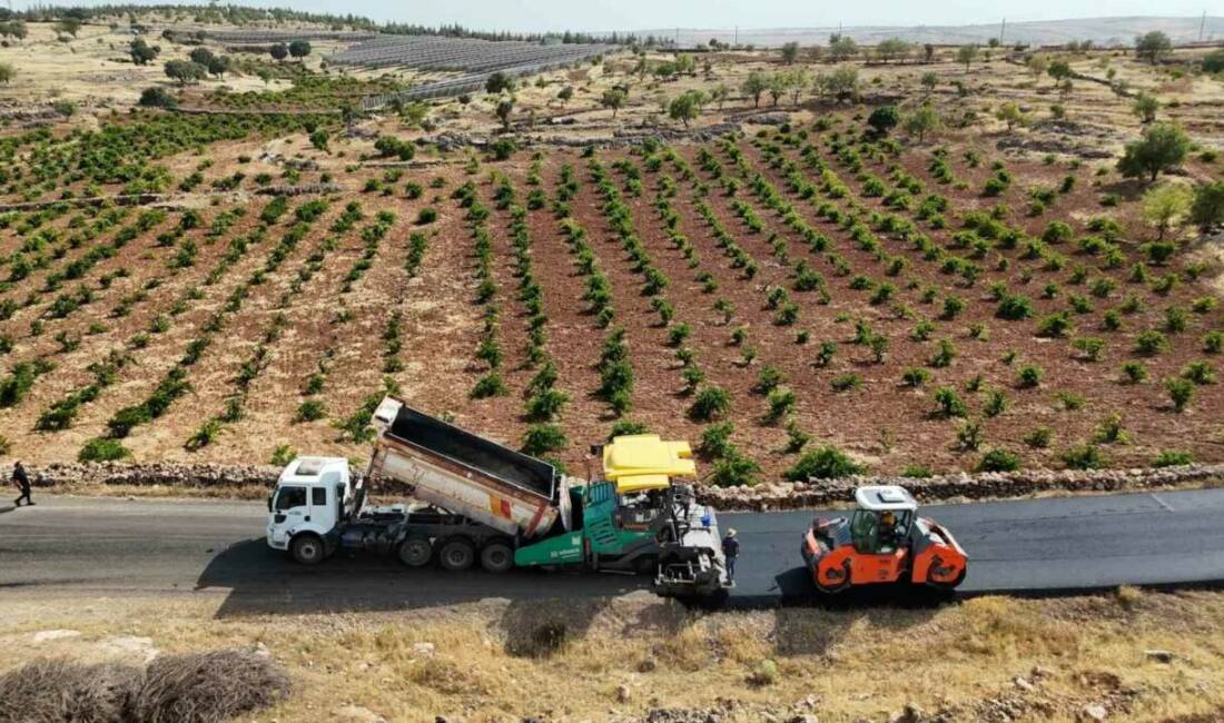 Mardin'de yapılan altyapı ve üstyapı yatırımları sayesinde Süryani vatandaşlar, kırsal