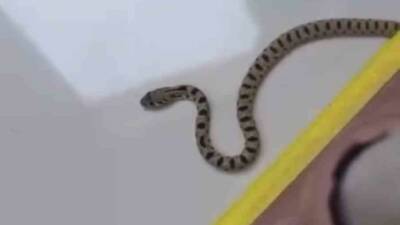 Mardin'in Kızıltepe ilçesinde bulunan bir apartmanın 8. katındaki bir dairenin