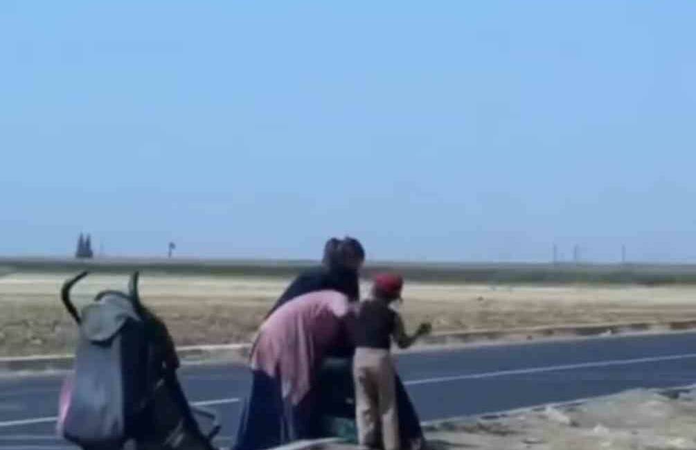 Mardin'de dilenci kadınlar arasında çıkan kavga, Kızıltepe ilçesi çevre yolunda