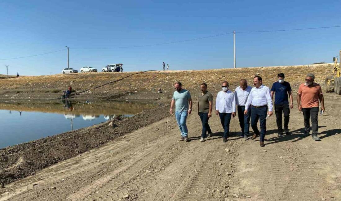 Mardin'in Mazıdağı ilçesinde bulunan Şanlı Mahallesi'ndeki gölette meydana gelen kirlilik