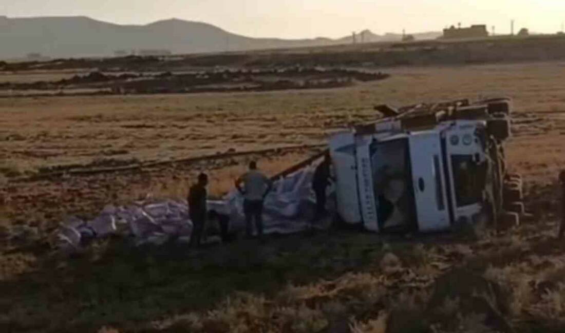 Mardin'in Kızıltepe ilçesinde bir tırın şarampole devrilmesi sonucu sürücü yaralandı.