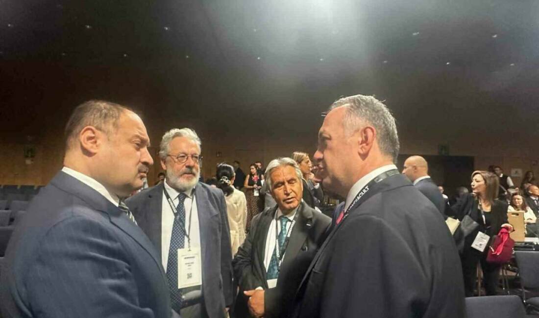 Şanlıurfa Büyükşehir Belediye Başkanı Mehmet Kasım Gülpınar, Türkiye'yi temsil etmek