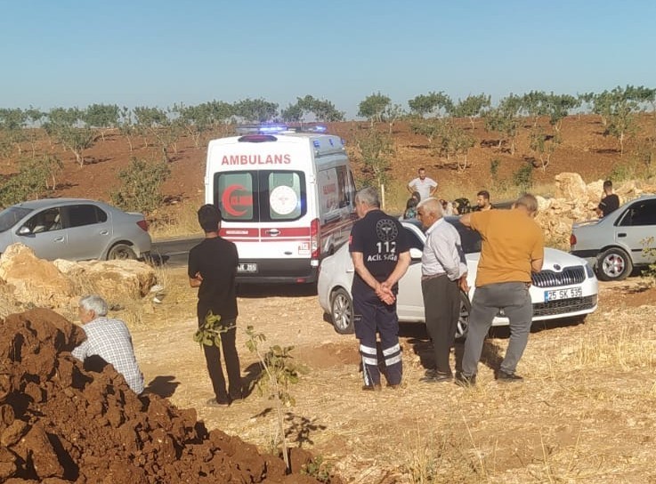 Şanlıurfa'nın Karaköprü ilçesinde meydana gelen trafik kazasında, bir anne hayatını